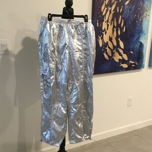 Women's Shimmering Silver Pants